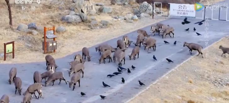 航拍中国宁夏详细景点,航拍中国宁夏详细笔记