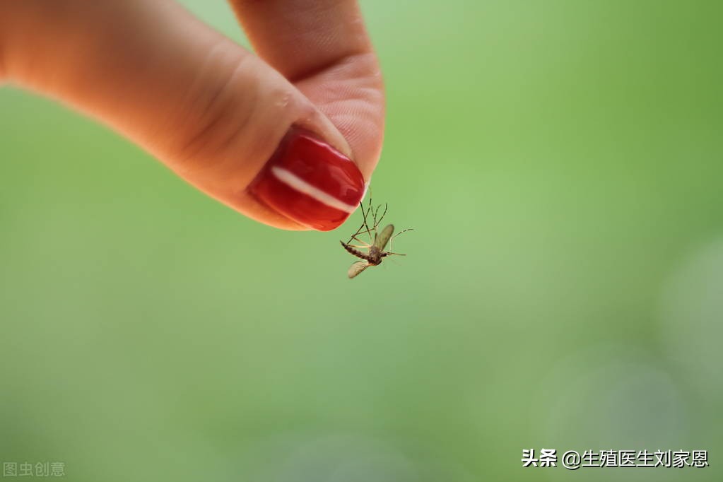夏季蚊虫来袭教你几个防蚊小秘诀,夏至到了怎么防蚊叮咬