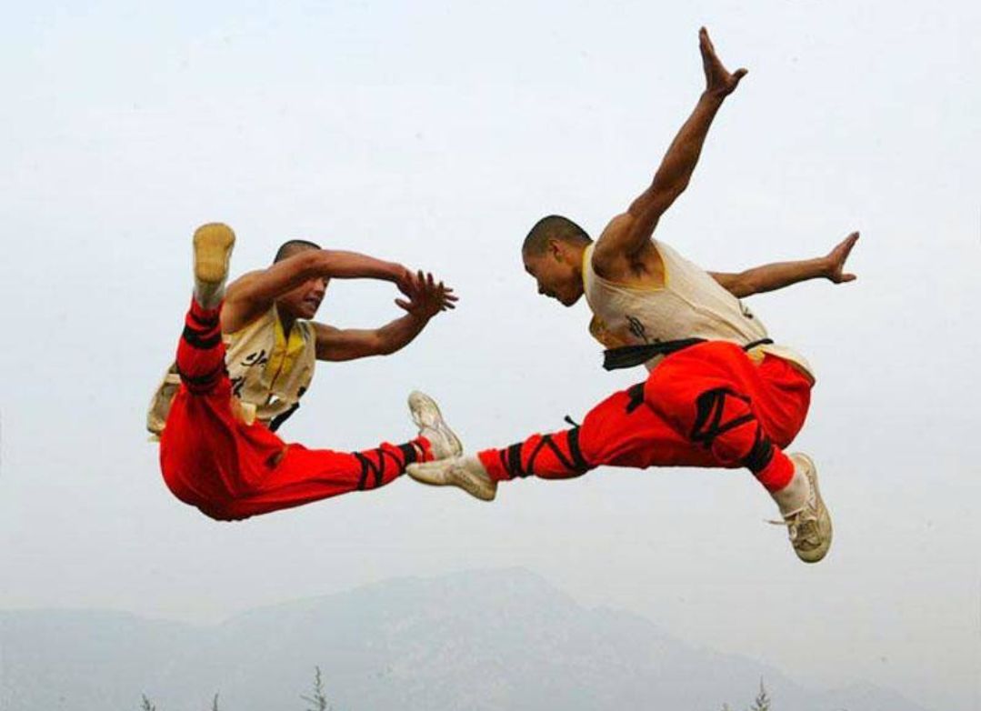 十八罗汉拳技击法,少林古老传统拳练法罗汉十八手