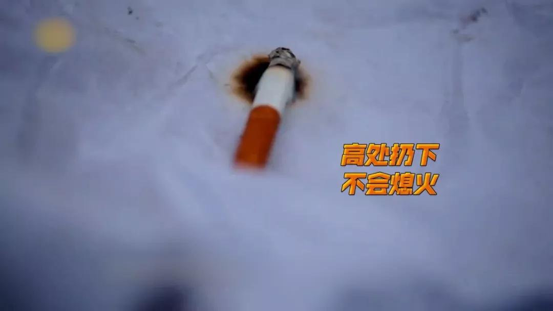 香烟最贵的多少钱一根,一盒价值上百的烟