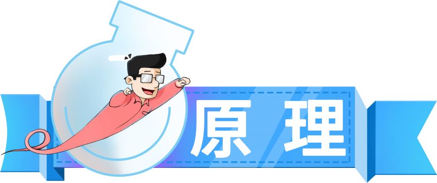 你知道蜜蜂有多少眼睛吗,蜜蜂为什么有那么多眼睛