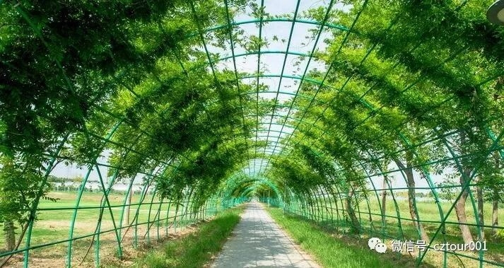 常州这10个被全省表彰的“网红村”、“创意园”，你去过吗？