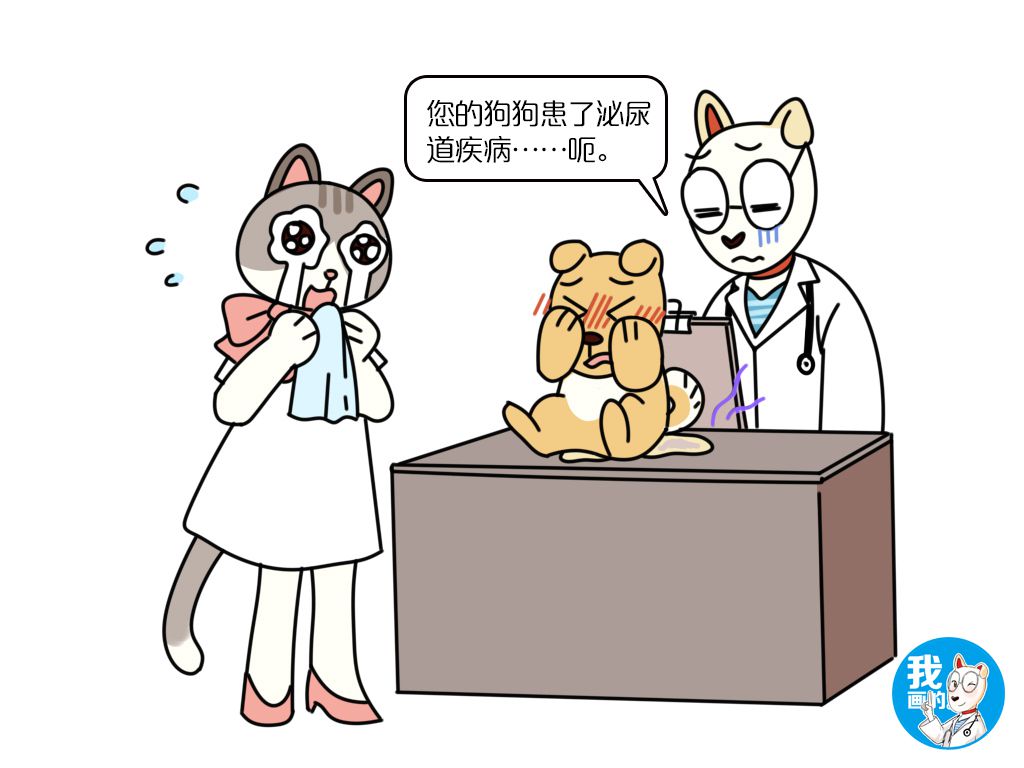 狗狗憋尿的危害,狗狗憋尿有什么表现