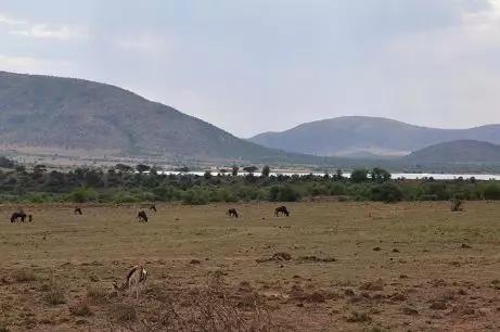 绘语养生｜非洲行画（二）