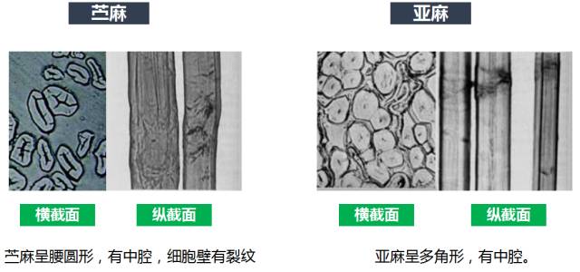 天丝棉和真丝的区别,天丝棉麻与棉料棉麻区别