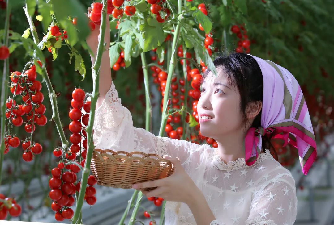 蓝城史诗级田园巨著，或将引领十万武汉人“上山下乡”