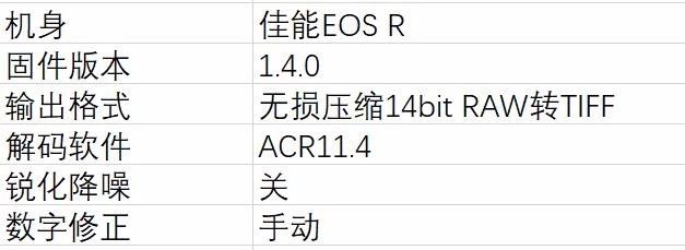 佳能rf851.2ds版是什么意思,佳能rf851.2镜头