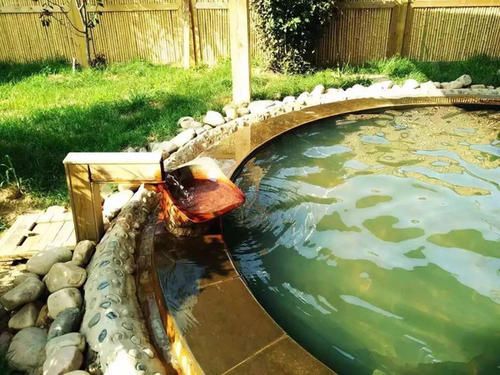 沈阳最好的温泉是哪家,沈阳金箔温泉和名都嘉年华哪个好