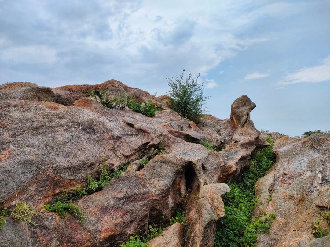 大连金石园奇石名称,大连市金石园