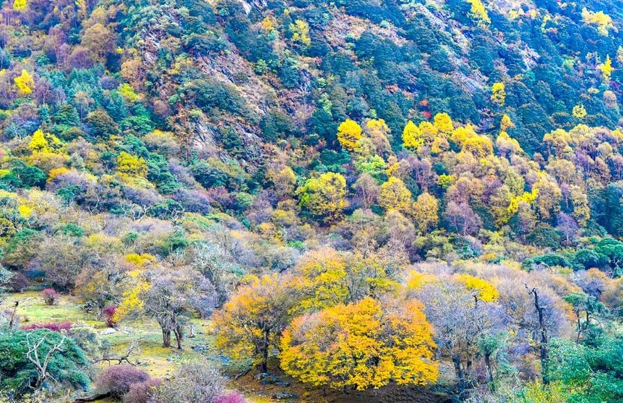 川西到底有什么魔力吸引着,川西为啥旅游资源多