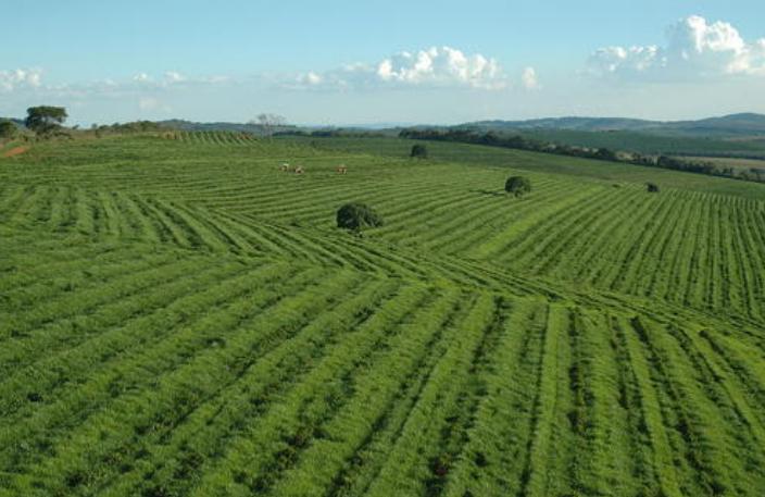 巴西有可能变成强国吗,巴西为何资源丰富却不是强国