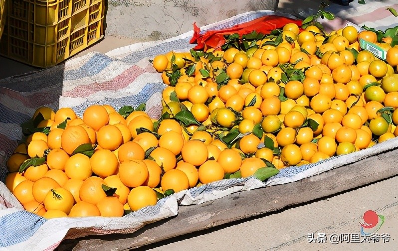 廉江最近有什么节日,廉江节日