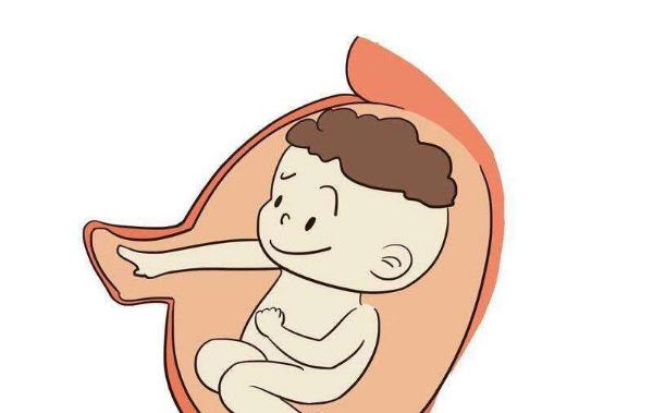 孕中期怎样知道宝宝胎动正常,胎宝轻微胎动和明显胎动是在干啥