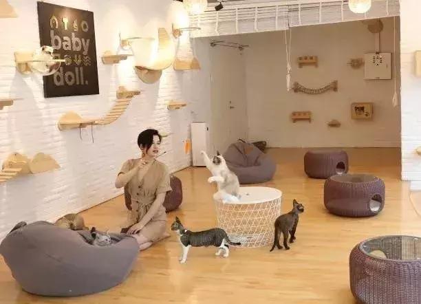 魔都新晋潮流地标,魔都新地标外滩