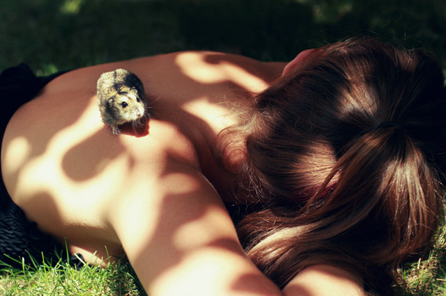 养仓鼠的四大误区是什么,仓鼠普及的知识