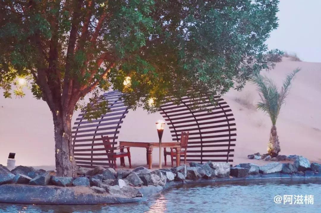 迪拜沙漠之旅景点攻略大全,沙漠里的奇迹迪拜