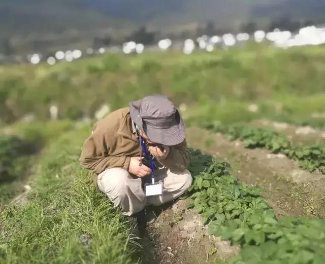 让农业回归原生态,呼唤传统农业回归