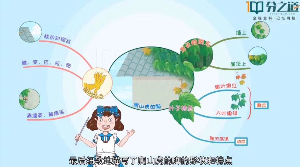 描写夏天的一篇作文5句话,描写夏天的作文诗句