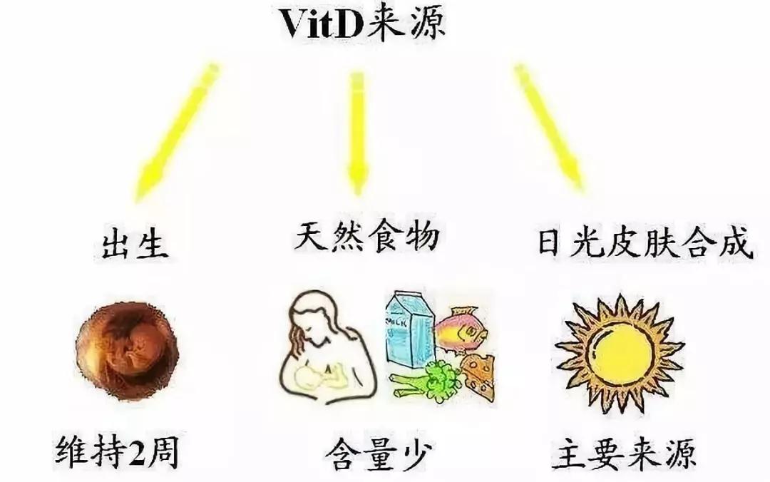 目前公认的可以预防癌症的维生素,五种维生素能防癌