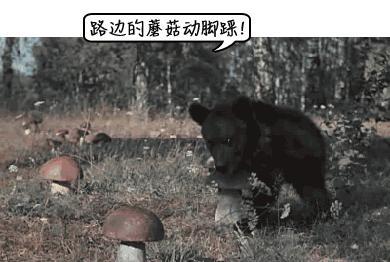 警惕广东头号毒菇,警惕新型毒品无处不在