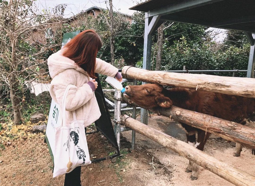 西安直飞1h,西安出发三日游冬季高铁