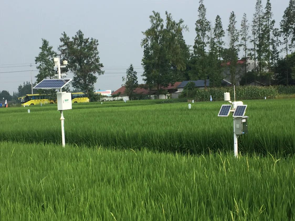 怎么维护异地关系,占用村集体地方怎么处理