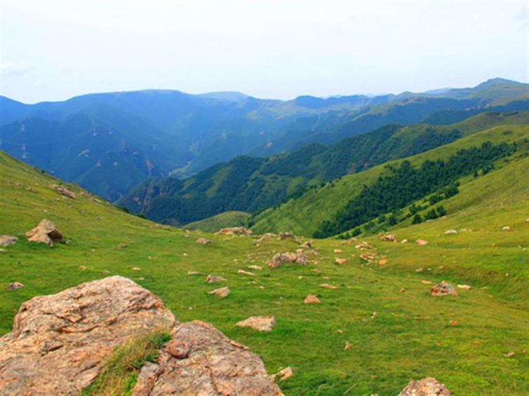 天津出发一日游景点推荐,天津近郊一日游必去景点七里海