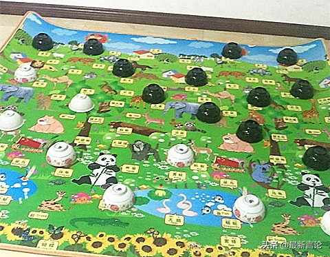 董路谈足球小将训练模式,董路浅谈做中国足球小将的初衷