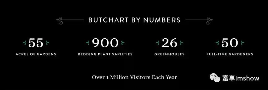 走进爱丽丝梦游仙境,爱丽丝梦游仙境绝美森林