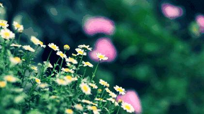 当不开心的时候怎么办,当你不开心的时候你会怎么样