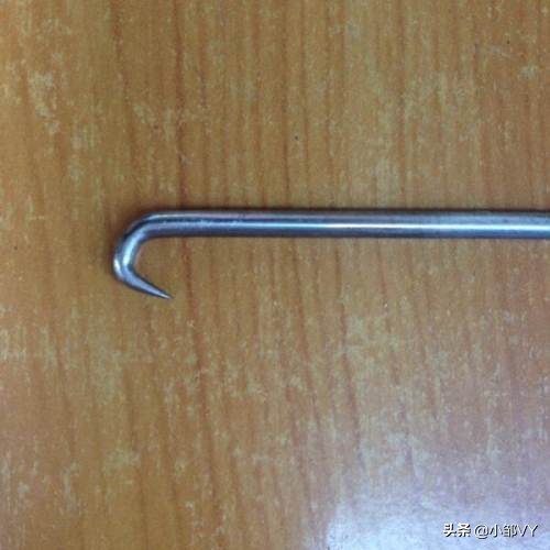 钓黄鳝的方法与注意事项,掌握四种钓法