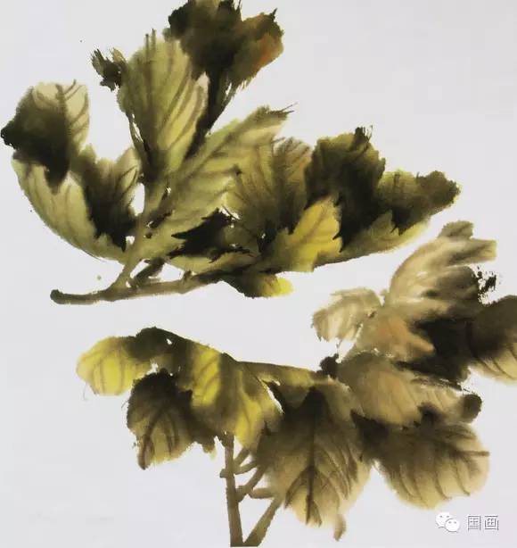 张克申写意牡丹画法教程,邵丹写意牡丹各阶段画法