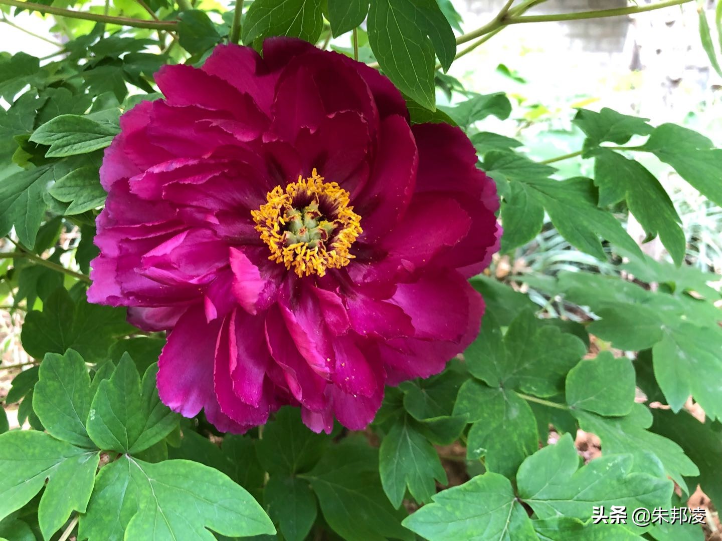 比什么都别和中信国安比有钱?如今负债1558亿,让债主别*债追**