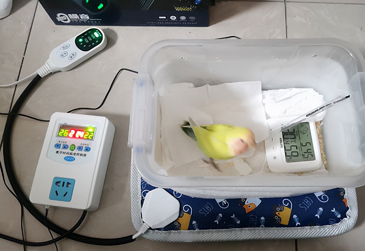 有多少快乐就有多少忧伤女声版,有多少快乐就有多少悲伤简谱