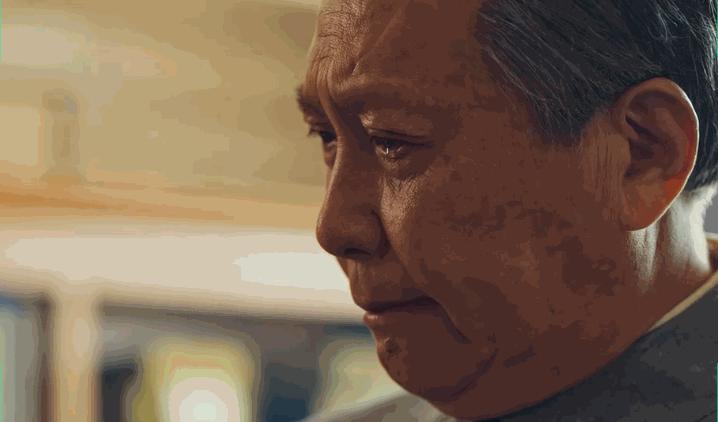 十大开国元帅演员专业户,十大元帅扮演者