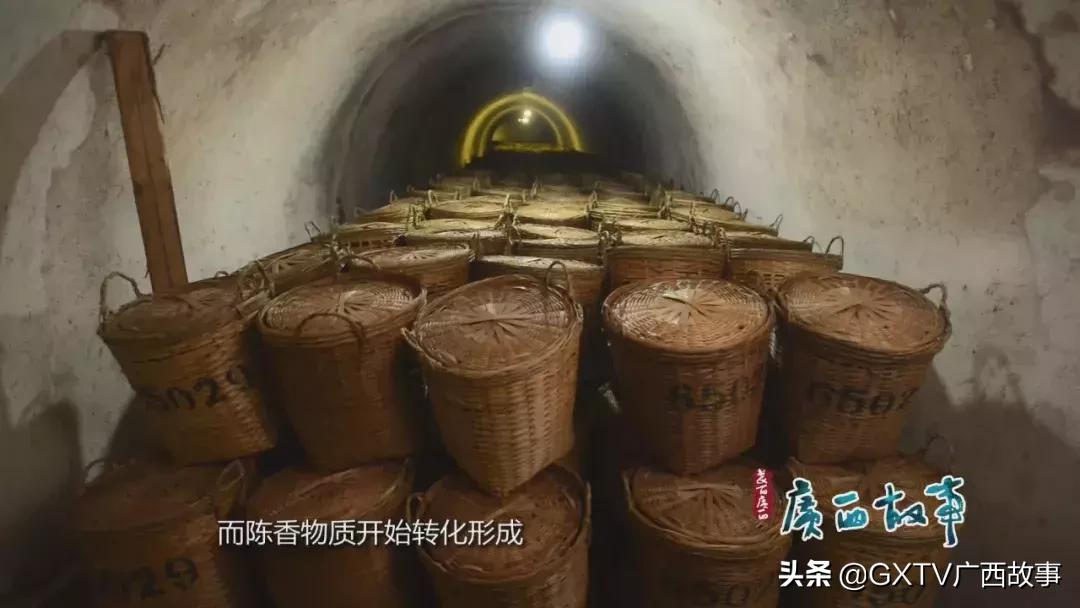 当年下南洋的广西、广东劳工，靠这茶水顶住了艰苦恶劣的环境！