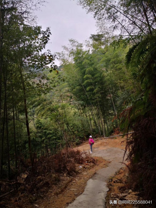 假日山村游玩,假日凤凰山旅游攻略