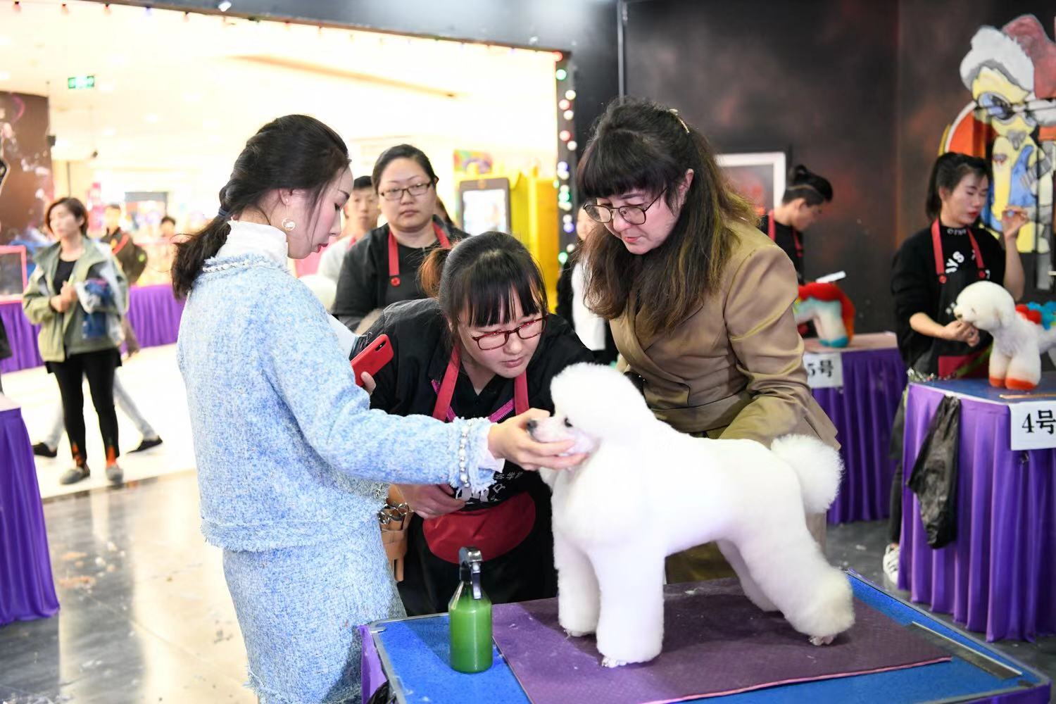 首届宠物美容商业造型交流会暨萌宠修剪赛圆满落幕