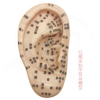 为什么针灸瘦身马上有效果,针灸通经络为什么体重一直下降