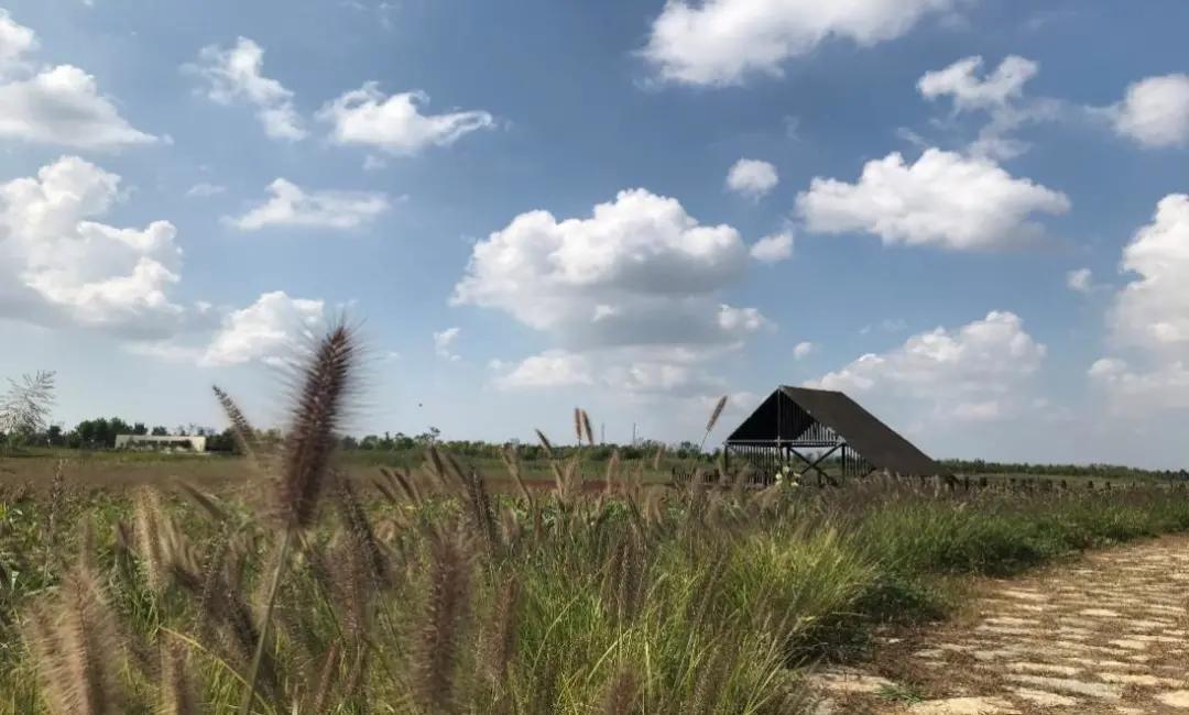 探寻北纬37度的秘密——一个向海而生的乐活小镇