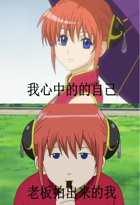 工作用的证件照底色,证件照背景换色免费