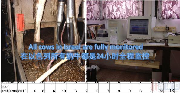 以色列实战经验:热应激管理4大关键点夏季疾病防控