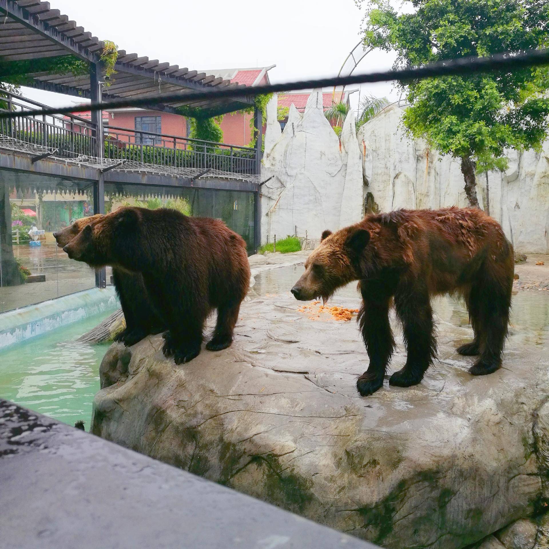 厦门灵玲动物王国游玩时间,五一去哪个动物园玩亲子一日游