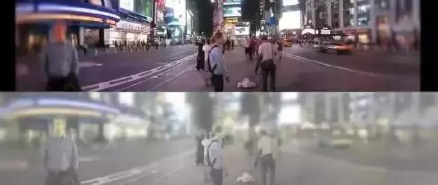 关于猫咪的五官的小知识,科普猫咪有多厉害