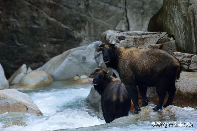 世界最大峡谷,云南最大的峡谷怒江大峡谷