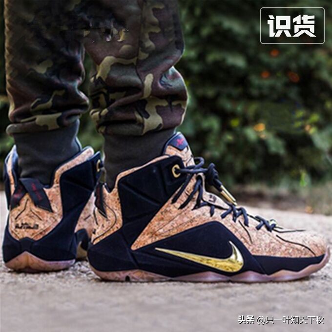 勒布朗詹姆斯上脚球鞋,勒布朗詹姆斯历代配置