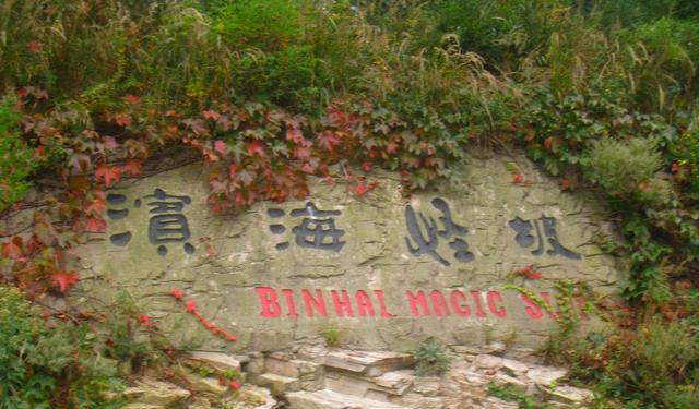 大连东港十年前后的对比,大连东港发展历程