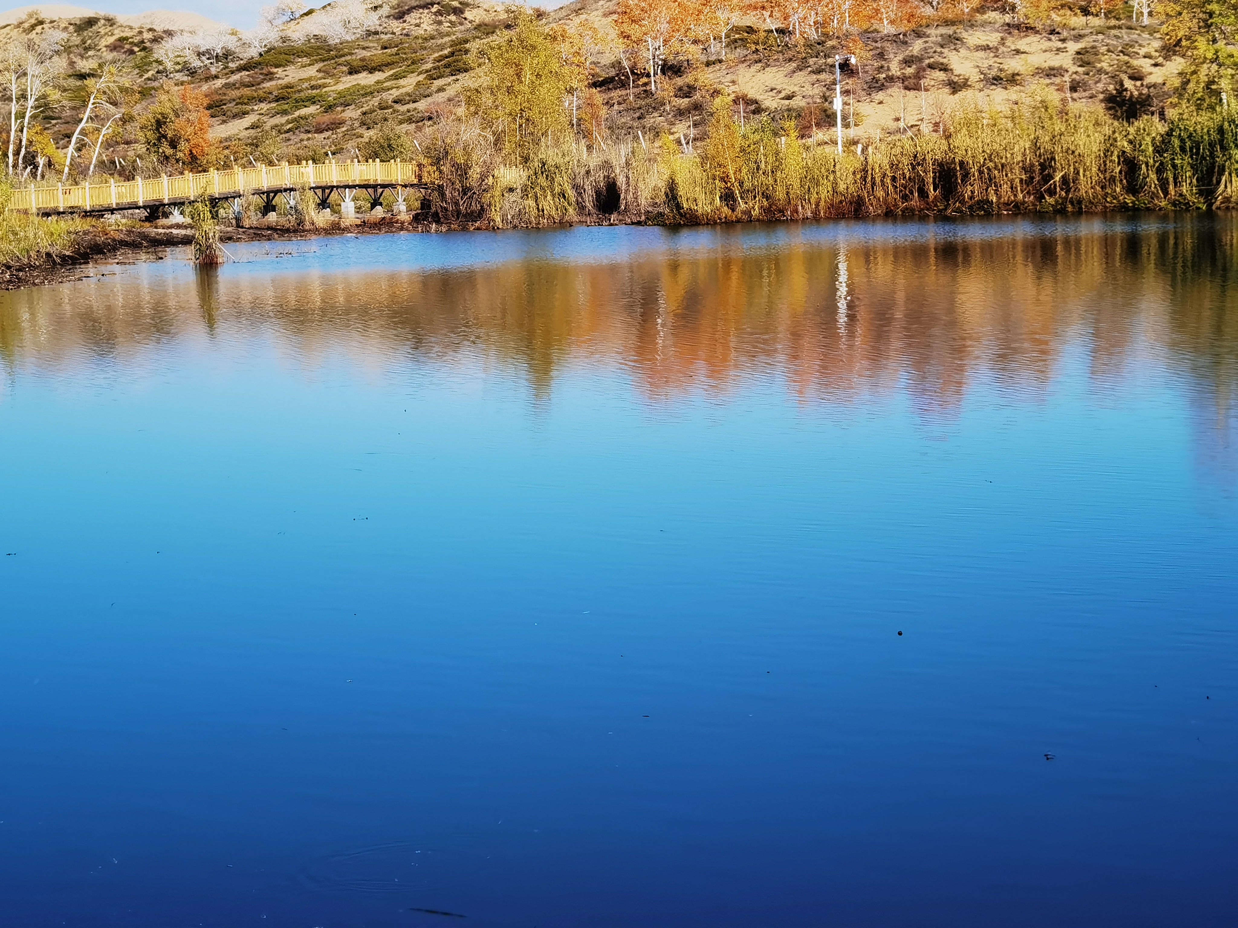 自驾游*疆新**：原来你是这样的白沙湖