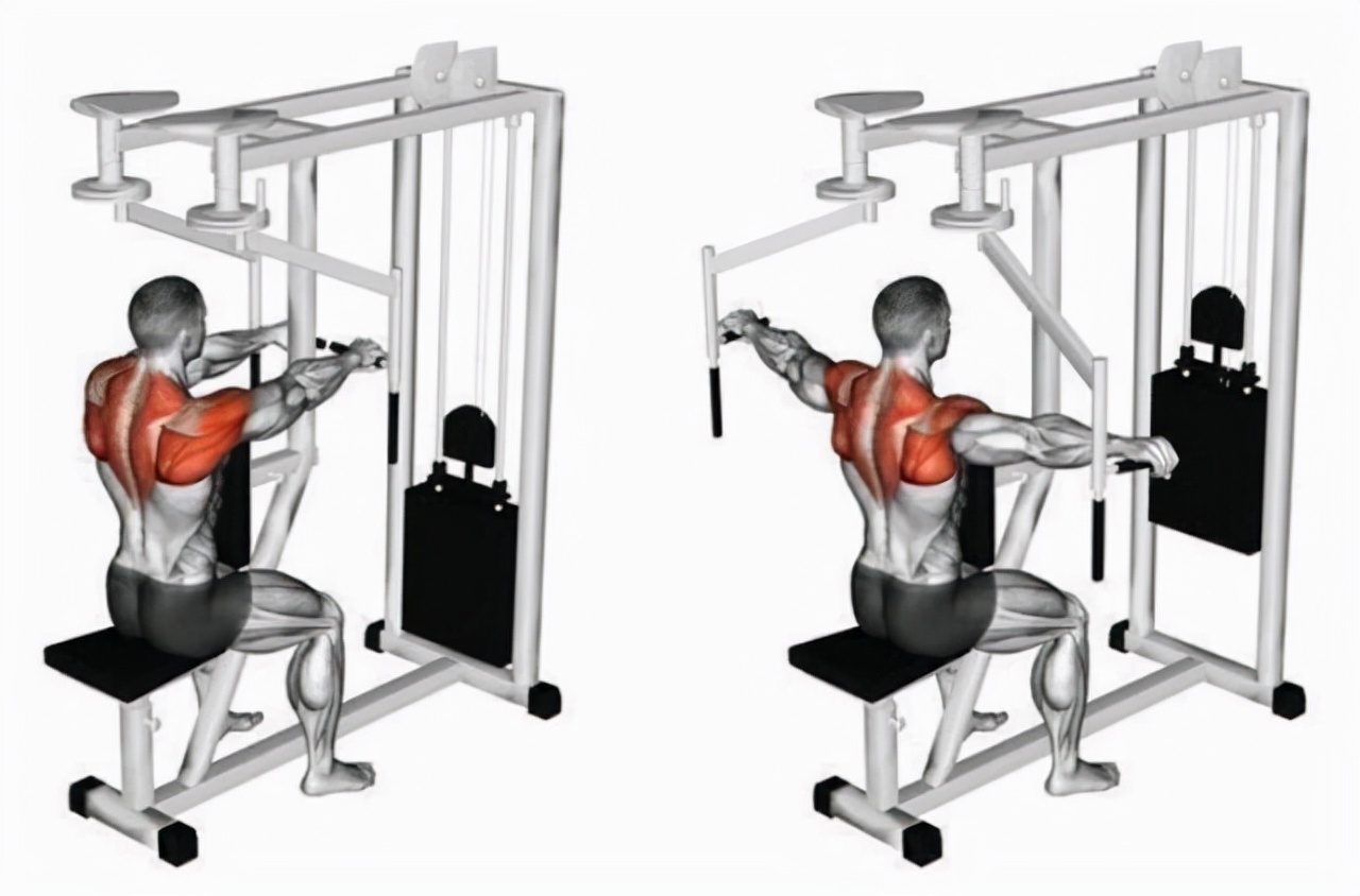 韩国健身模特如何训练身体,韩国健身健美模特视频