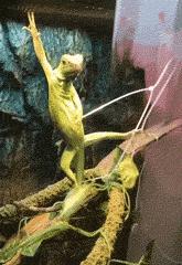 每日一笑逗老婆开心,每日一笑千万别惹女人